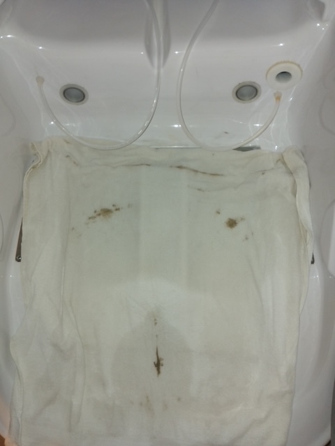 HOCATT Mould Detox